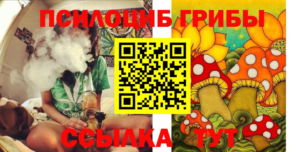 Галлюциногенные грибы Psilocybe Барнаул
