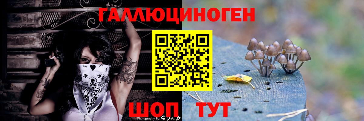 Псилоцибиновые грибы прущие грибы  Вход с VPN  Барнаул  Псилоцибиновые грибы Cubensis 
